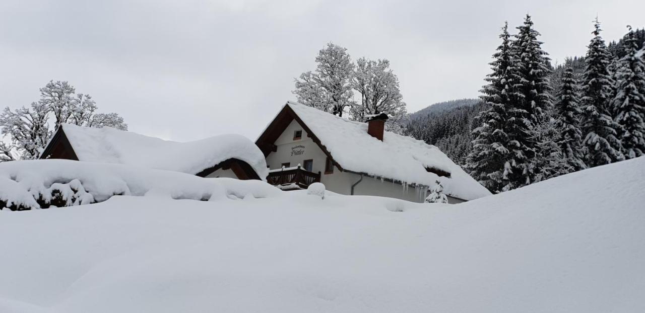 Ferienhaus Poettler Untertauern Ngoại thất bức ảnh