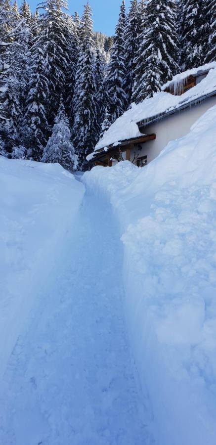 Ferienhaus Poettler Untertauern Ngoại thất bức ảnh