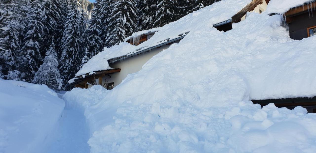 Ferienhaus Poettler Untertauern Ngoại thất bức ảnh